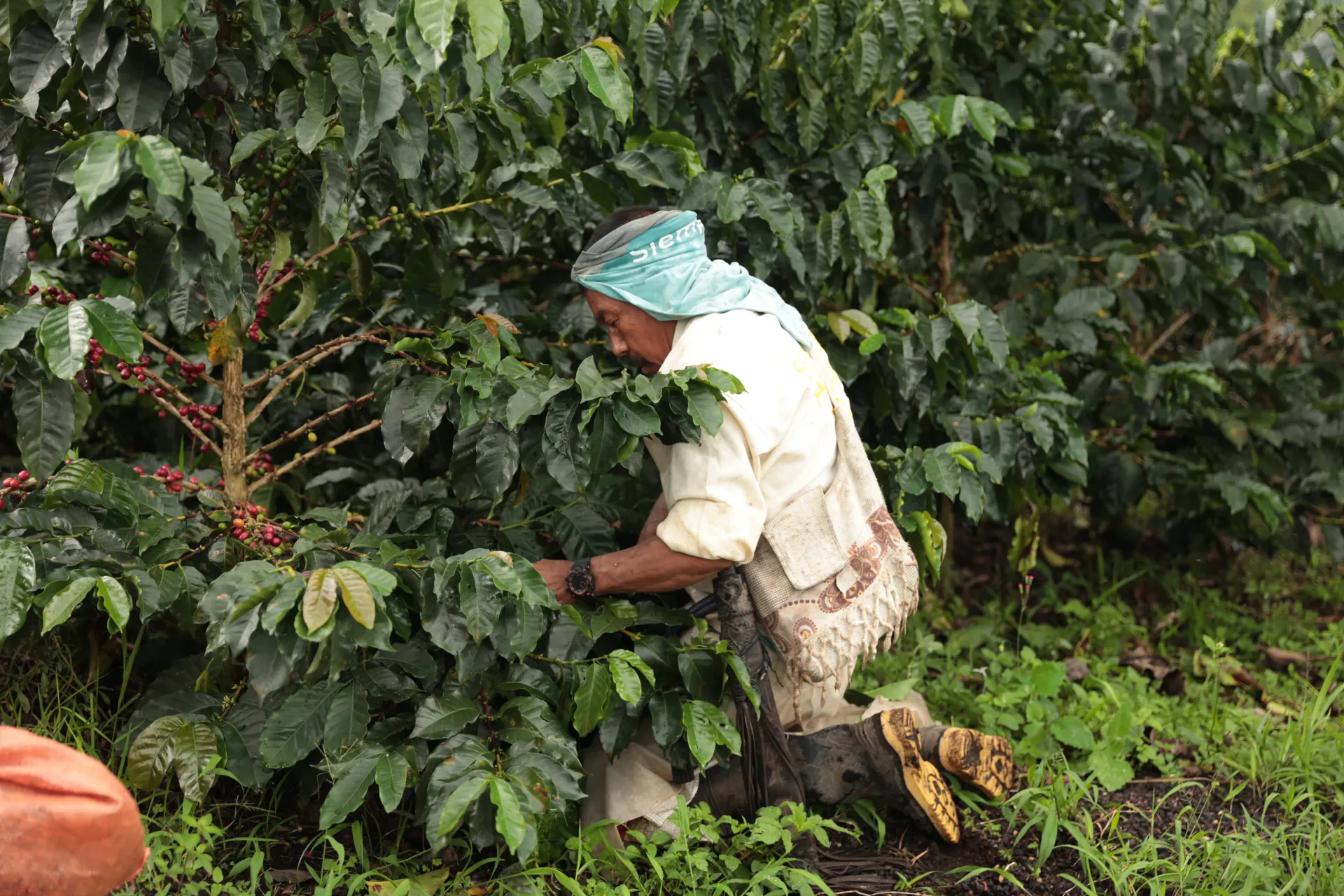 Fair Trade
