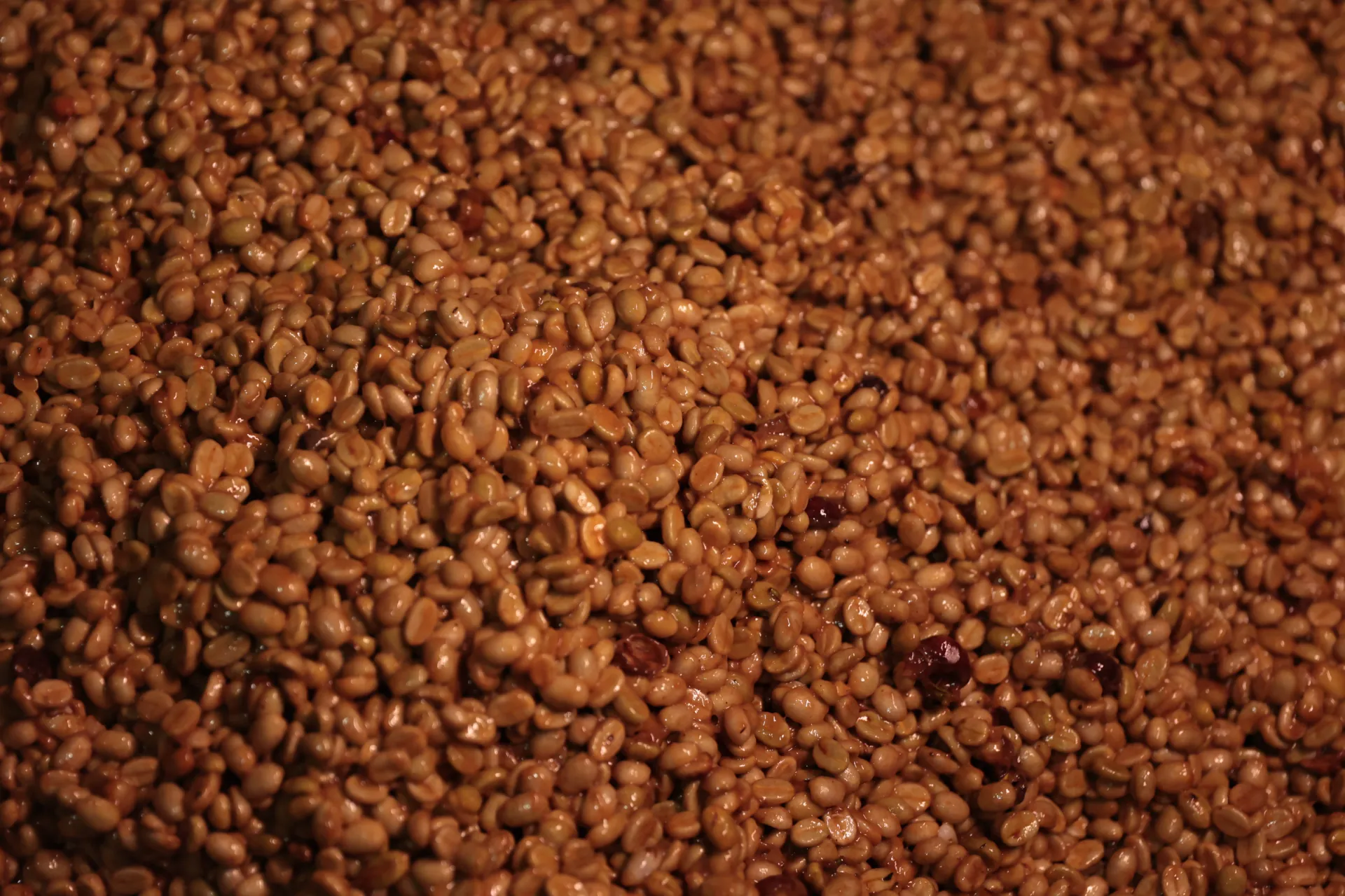 Speciality Colombian Origin Coffee